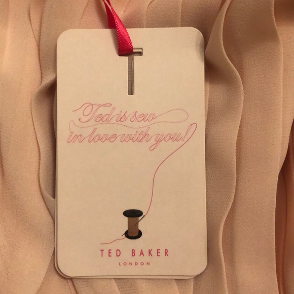 Ted Baker never worn pleated chiffon skirt - Picture 2 of 3